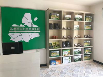 圖說由陜入川“第一鎮”——轉斗鎮電子商務服務發展紀實